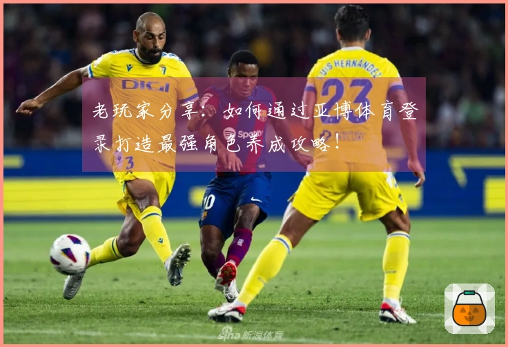 老玩家分享：如何通过亚博体育登录打造最强角色养成攻略！