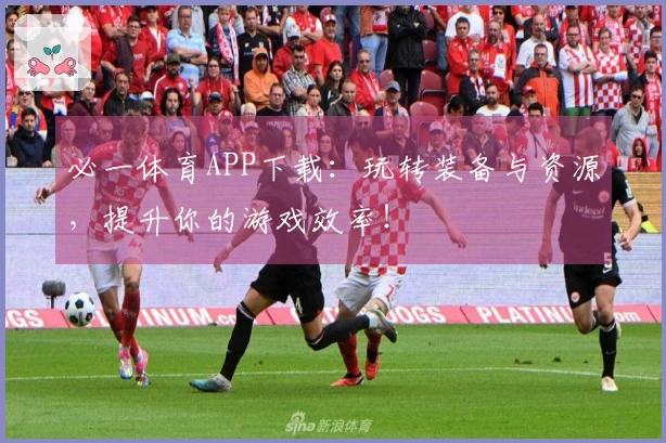 必一体育APP下载：玩转装备与资源，提升你的游戏效率！