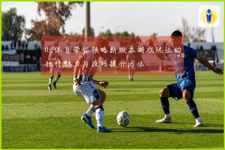 ng体育带你领略新版本游戏玩法的独特魅力与技巧提升方法
